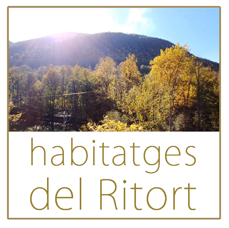 Habitatges del Riutort